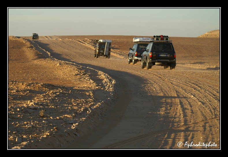114 La piste qui relie El Borma au reste du pays est regulierement desensablee par des bulldozers, elle est donc tres roulante